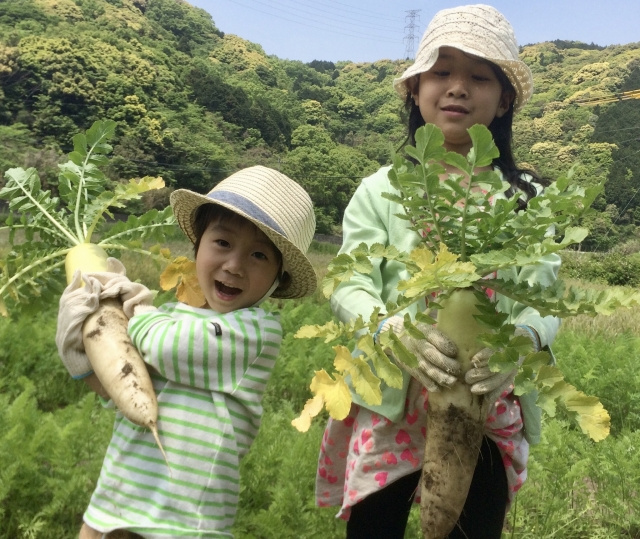 「奈良っ子」をはぐくむ自然保育がスタート！