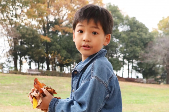 【奈良っ子はぐくみ条例とは何？】まとめ