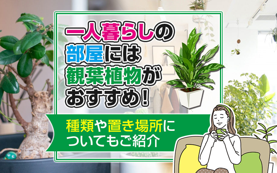 一人暮らしの部屋には観葉植物がおすすめ！種類や置き場所についてもご紹介の画像