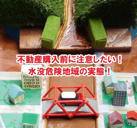 不動産購入前に注意したい！水没危険地域の実態！【高崎不動産情報ライブラリー】の画像
