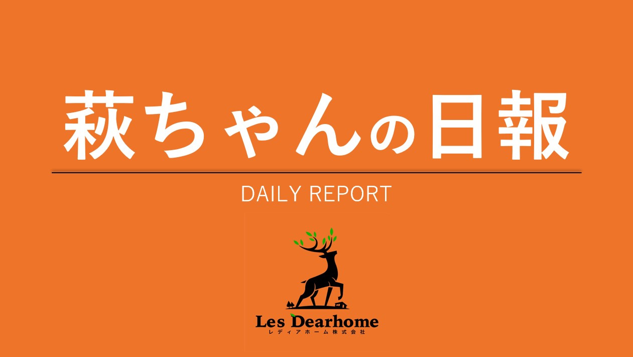 屋根の上ってこんな方法で見れるの画像