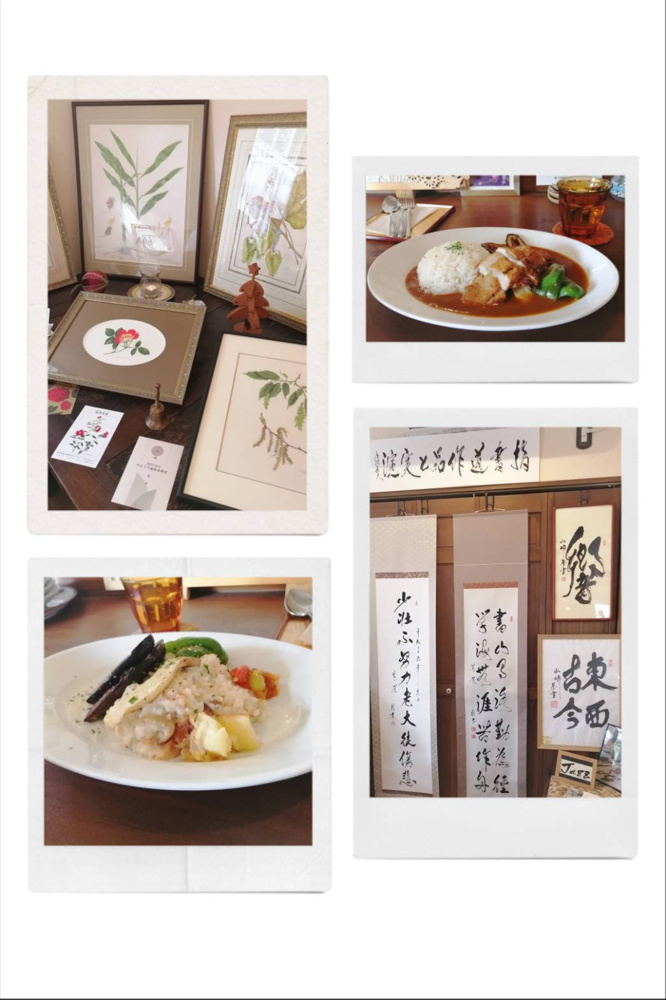 今日は文化の日ですね♪の画像