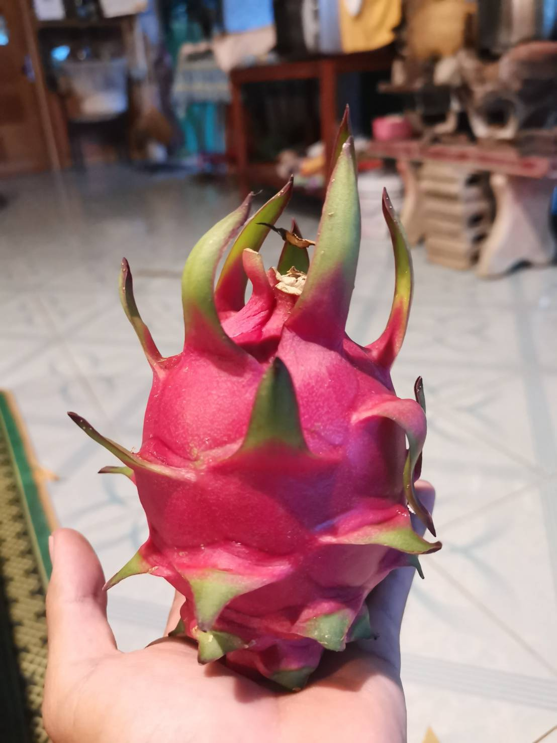 タイの思い出の画像