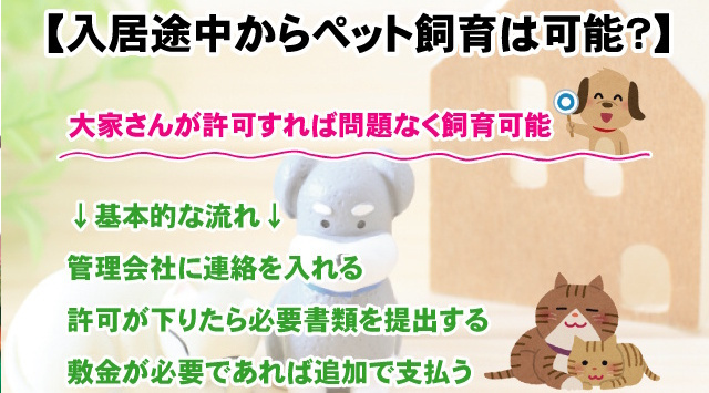 【入居途中からペットを飼育することは可能？】飼育する場合の流れの画像