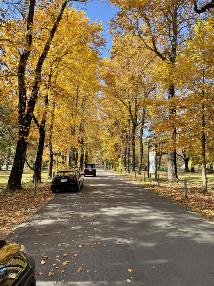 南箕輪村　信州大学農学部の画像