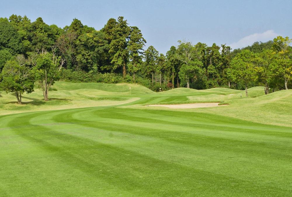 １１月７日：おかだいらゴルフリンクスの画像