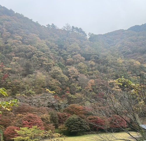 秋♪の画像