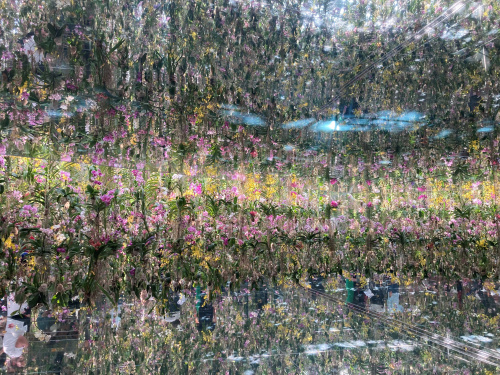 リベンジしました♪の画像