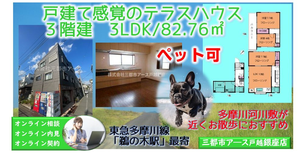 【田中テラスハウス】