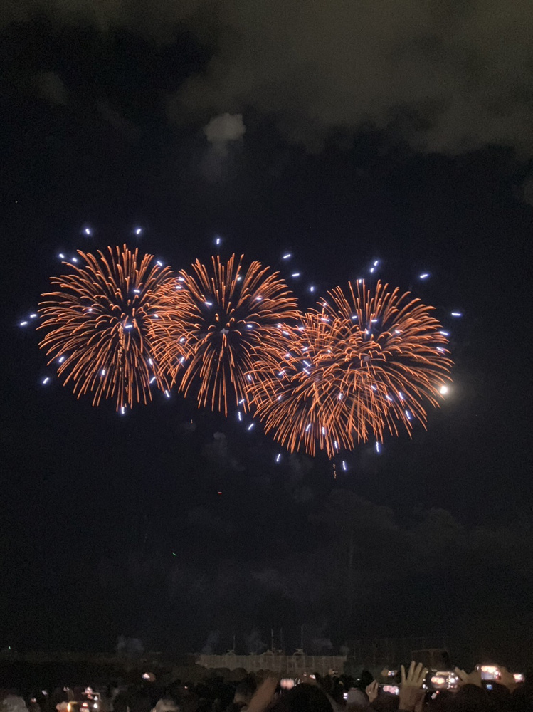 茅ヶ崎サザン芸術花火２０２３の画像