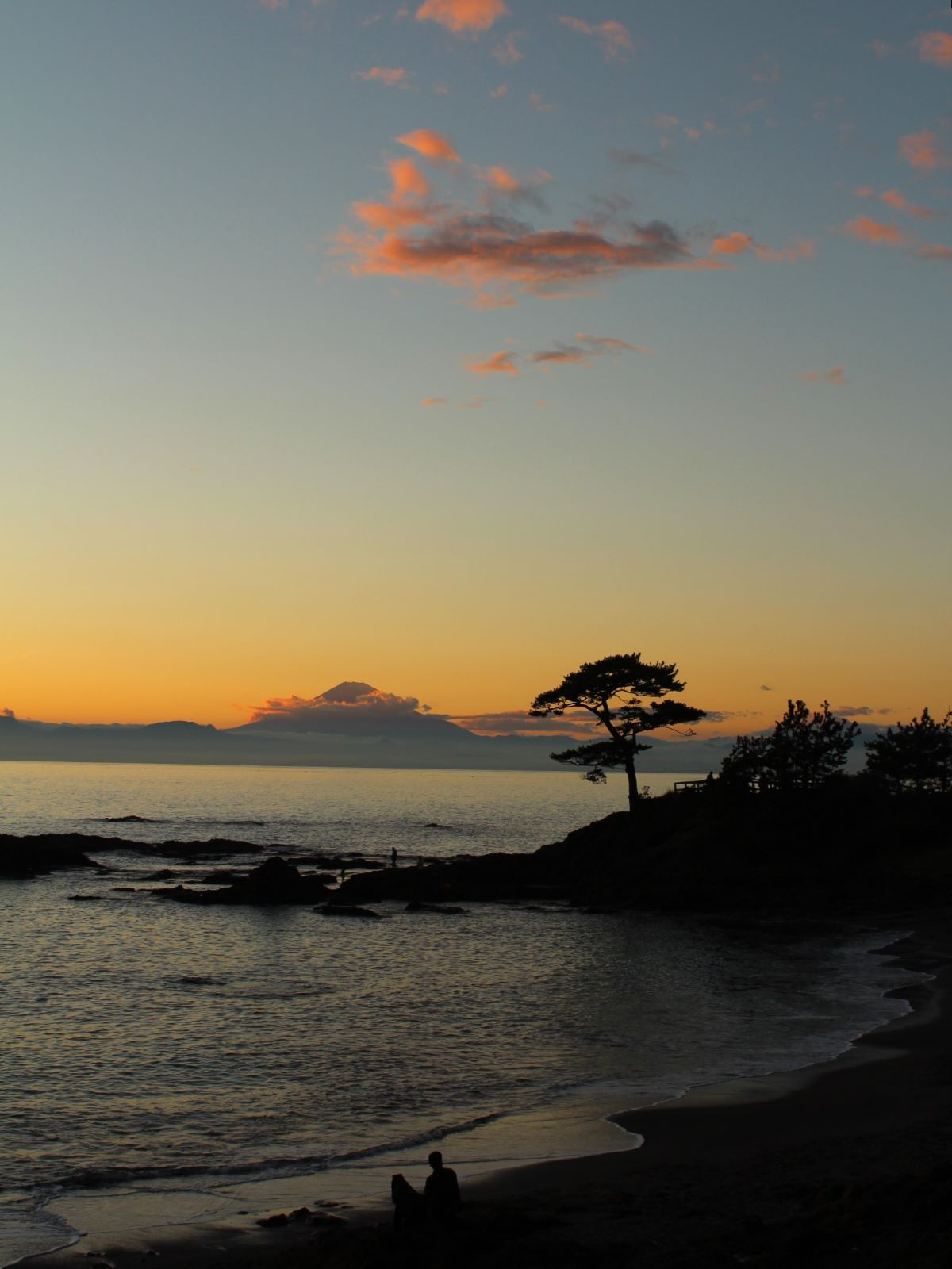 立石公園@横須賀|湘南でマンションなどの不動産売買なら湘南海辺不動産