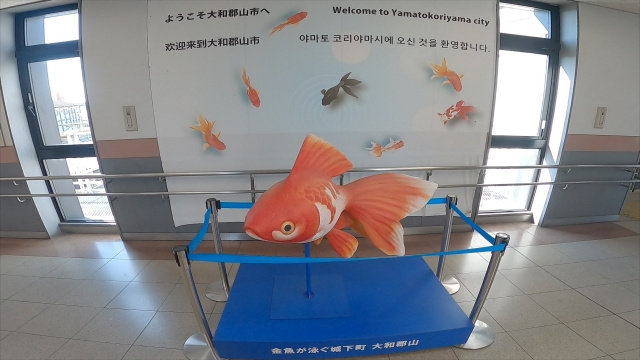 おすすめエリア④大和郡山周辺