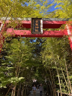 パワースポットの画像