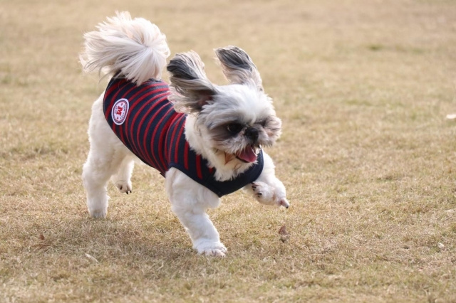 神戸市北区のBARBETとは？特徴やこだわりをご紹介