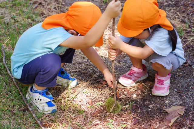 明石市にある「播陽幼稚園」の概要