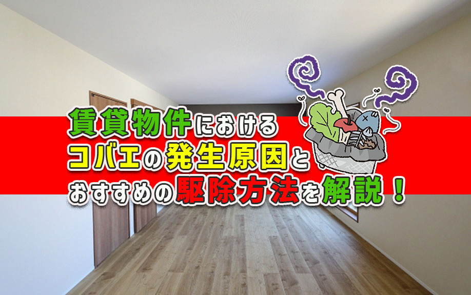 賃貸物件におけるコバエの発生原因とおすすめの駆除方法を解説！の画像