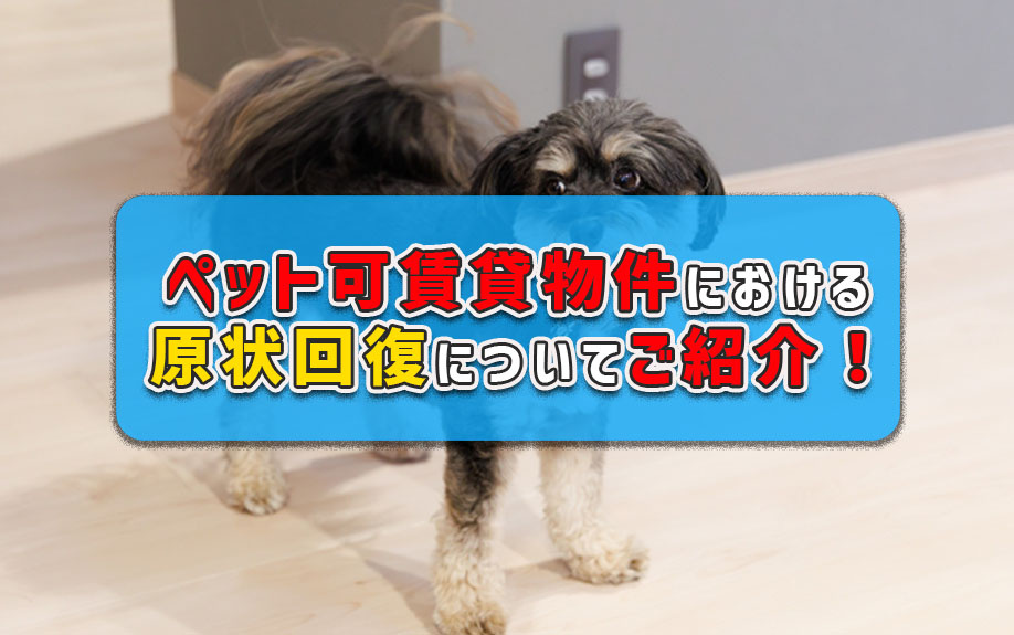 ペット可賃貸物件における原状回復についてご紹介！の画像
