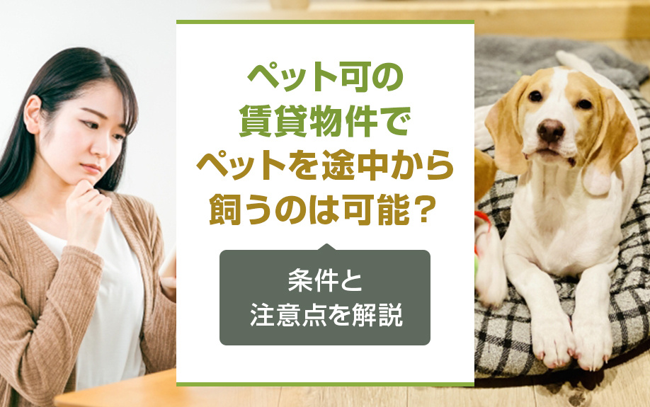 ペット可の賃貸物件でペットを途中から飼うのは可能？条件と注意点を解説の画像