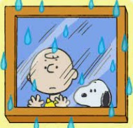 雨・・・の画像
