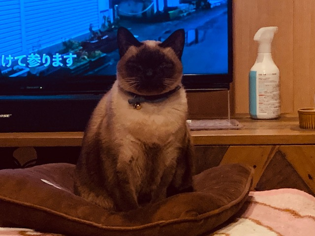 最近のお客様の動向を考える。の画像