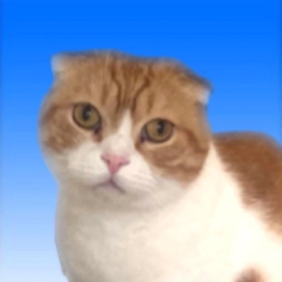 =^_^=ねこのお話=^_^=の画像