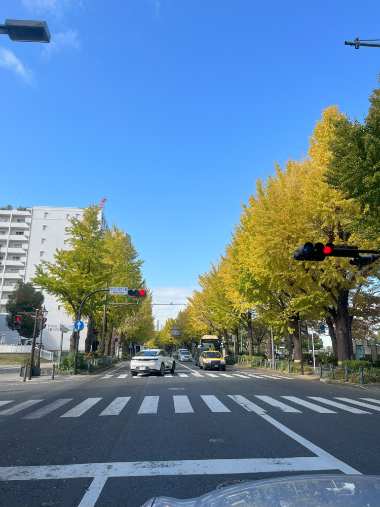 紅葉リベンジできました！！の画像