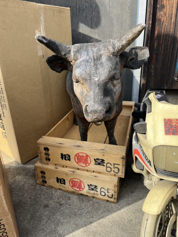 モ～ギューの画像