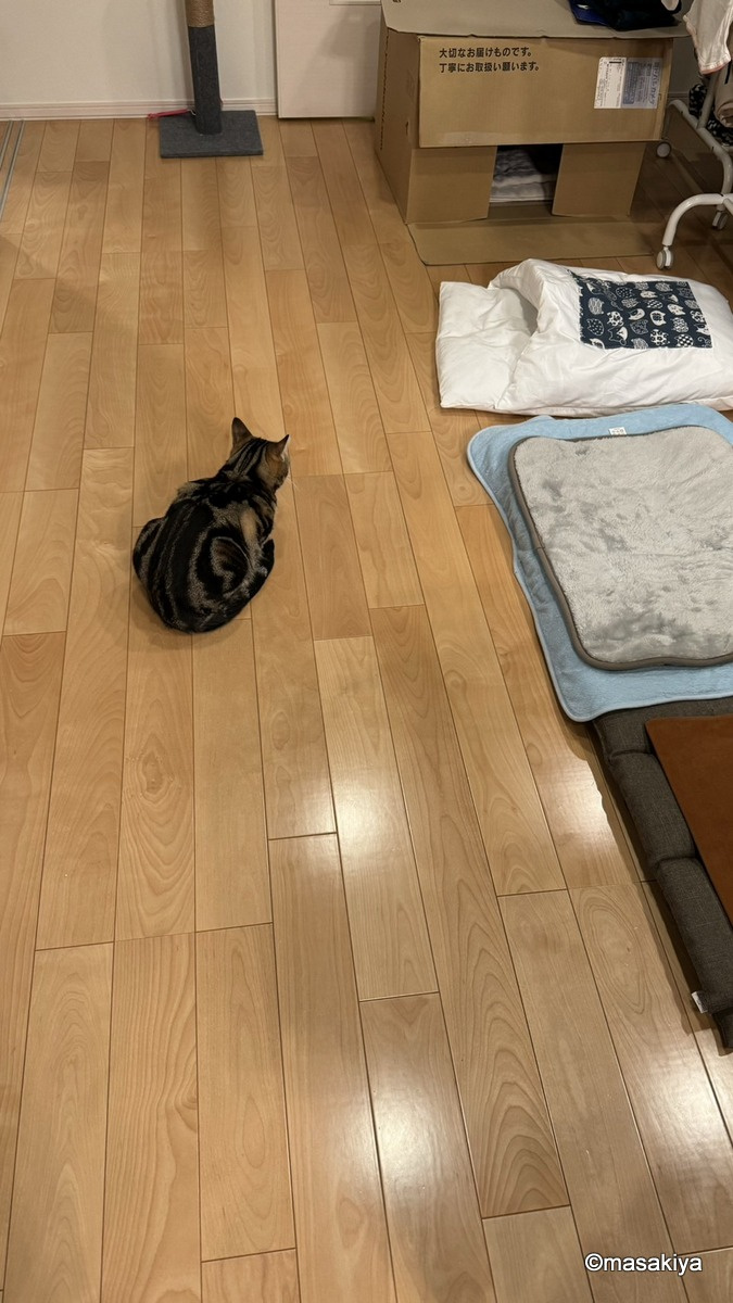 そろそろ学生さんのお部屋探しの時期です。の画像