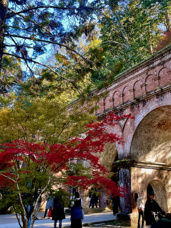 極上のマリアージュの画像