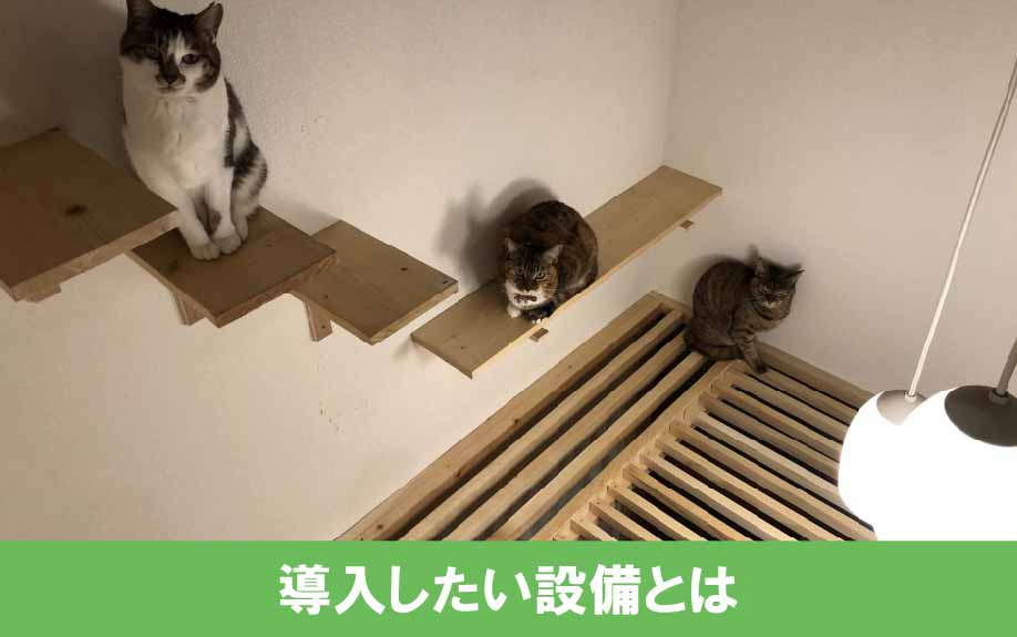新築一戸建てで猫と快適に暮らすために導入したい設備とは