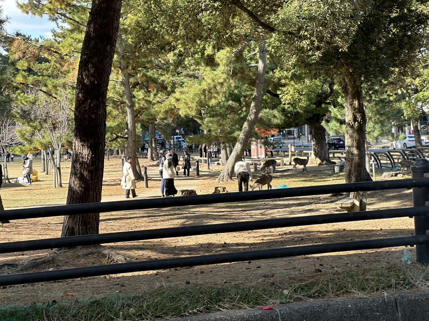 意外と大丈夫の画像