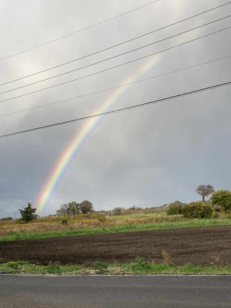 12月になりましたの画像