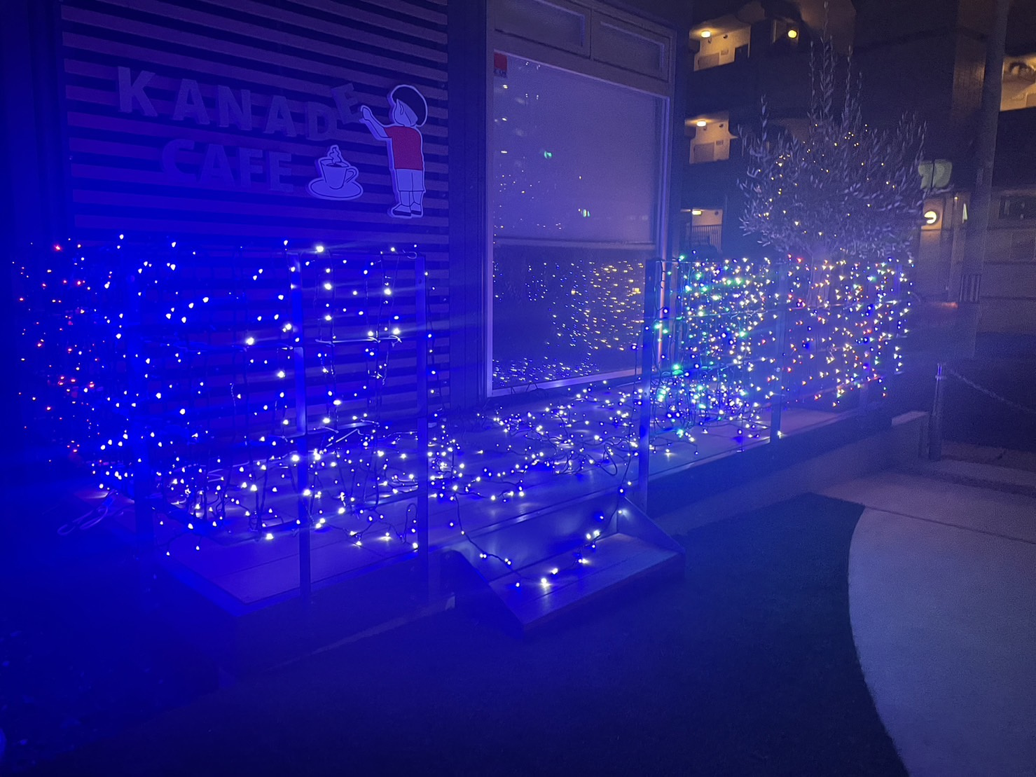 12月の画像