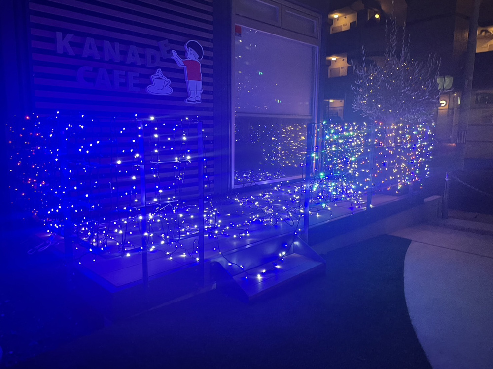 12月の画像