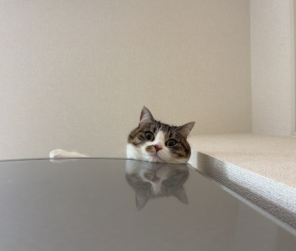 初めまして。受付の平野遥です！の画像