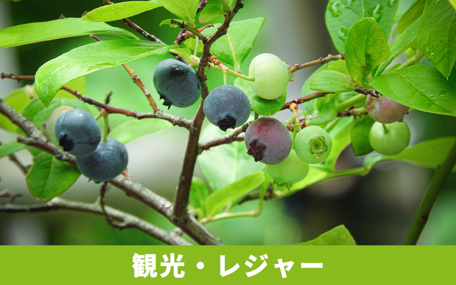 長野県山形村に別荘を持つ魅力！観光・レジャー施設について