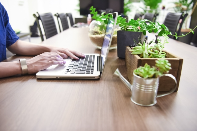オフィス緑化を導入する費用とは？