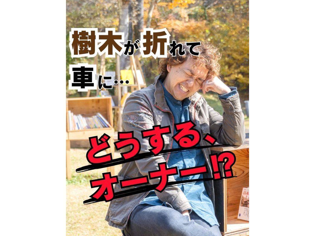 【樹木が折れて車がベコリ。。。どうするオーナー!?】～賃貸オーナー様へ～の画像