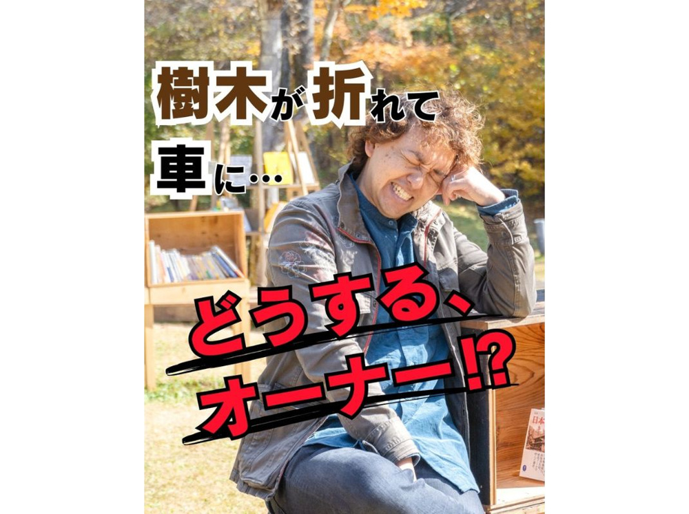 【樹木が折れて車がベコリ。。。どうするオーナー!?】～賃貸オーナー様へ～の画像