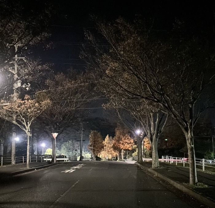 ランニング♪の画像