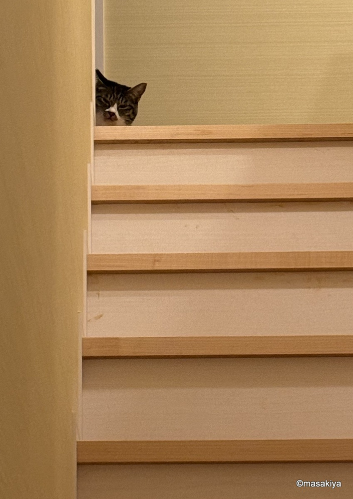 2日ぶりの画像
