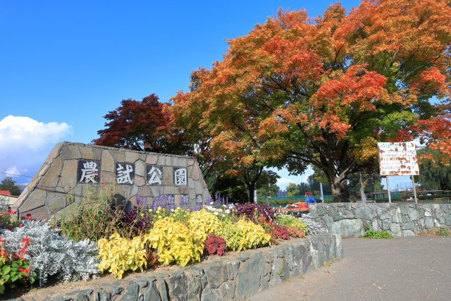 札幌市西区 にある「農試公園」の施設・楽しみ方