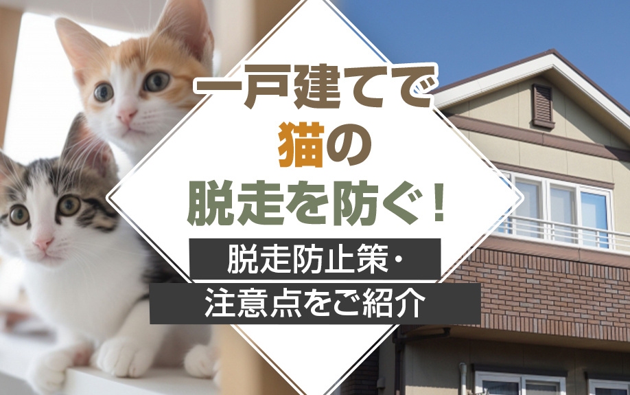 一戸建てで猫の脱走を防ぐ！脱走防止策・注意点をご紹介