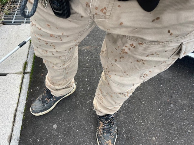 【あま市不動産売却】ひっつくの画像