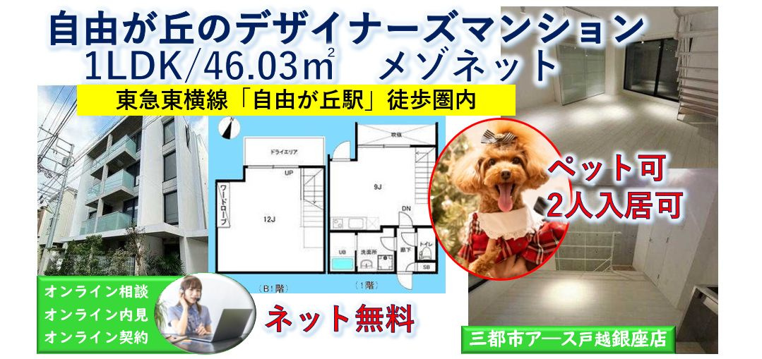 【ALERO自由が丘South】