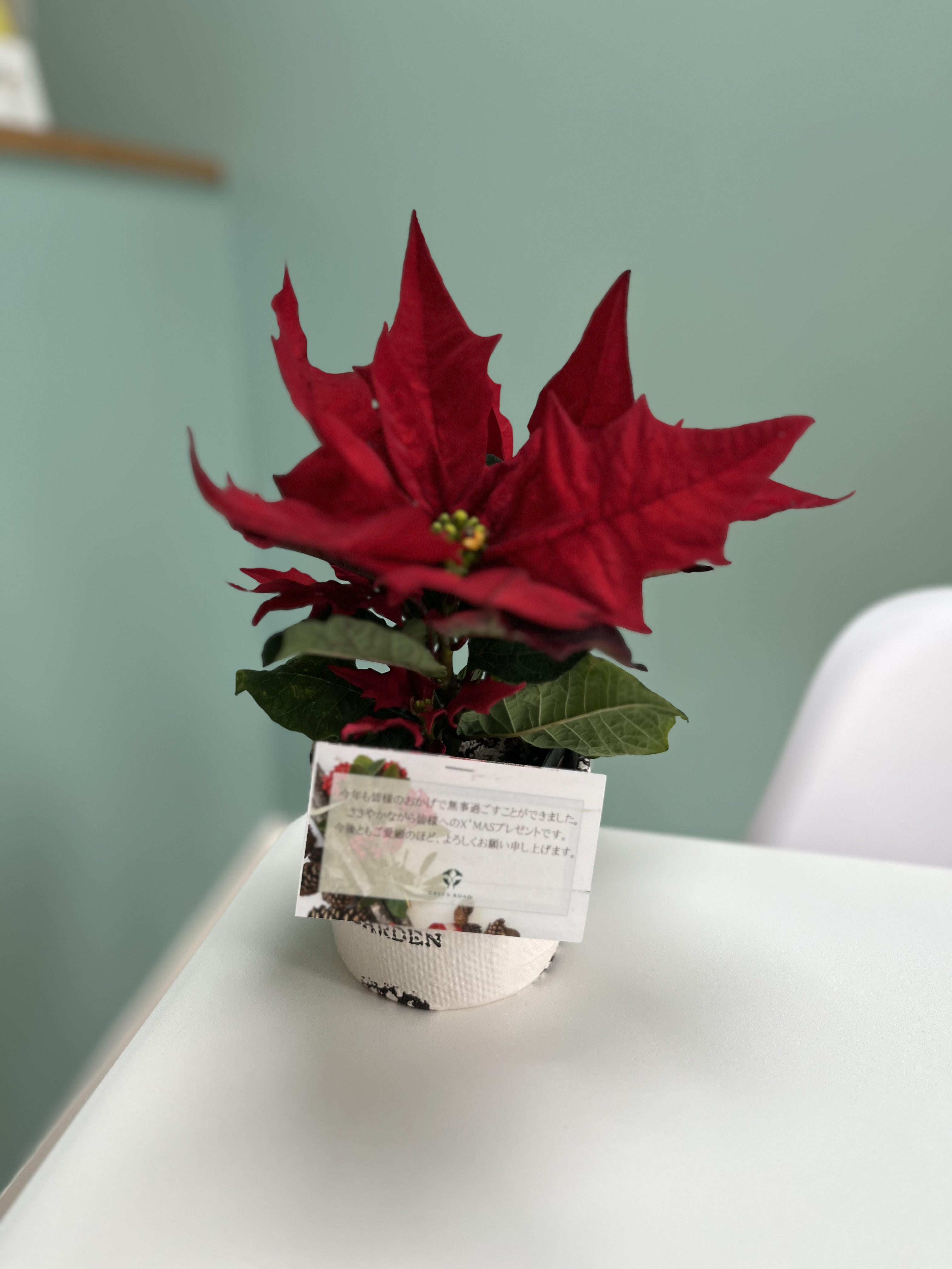 ありがとうございます！！【お礼】の画像