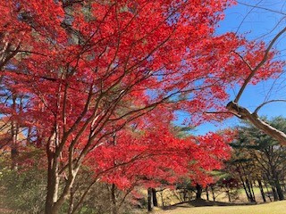 あっちこっち行ってます!!の画像