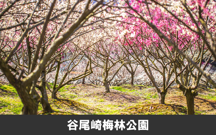 熊本市西区でおすすめの公園3選！各園のおすすめポイントもご紹介の画像