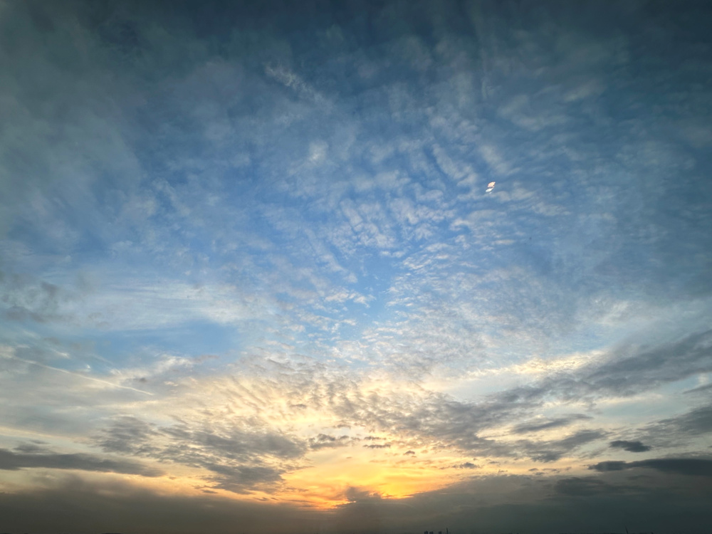 今年もお世話になりました。。の画像