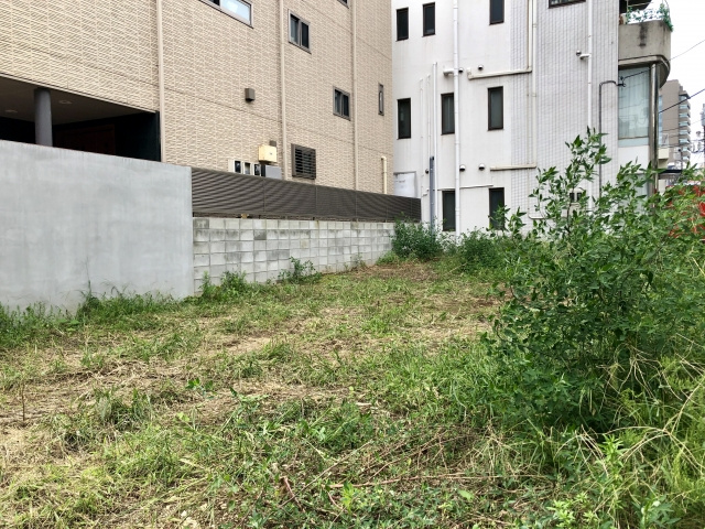 空き地の雑草対策は誰に義務がある？放置するリスクと対策を解説の画像